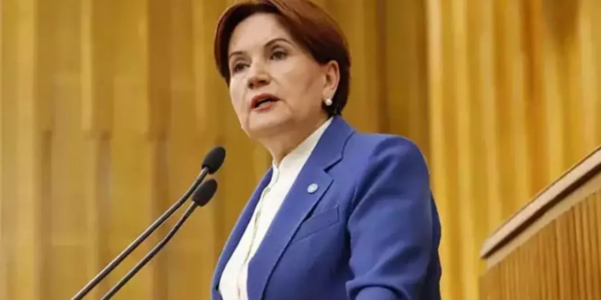 Meral Akşener vakıf kuruyor: İşte vakfın logosu