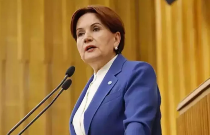 Meral Akşener vakıf kuruyor: İşte vakfın logosu